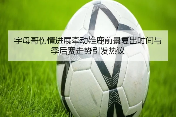 字母哥伤情进展牵动雄鹿前景复出时间与季后赛走势引发热议